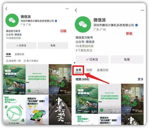 怎么查爆料的作品视频号,如何通过作品视频号追踪查证爆料真相 第1张 怎么查爆料的作品视频号,如何通过作品视频号追踪查证爆料真相 第1张
