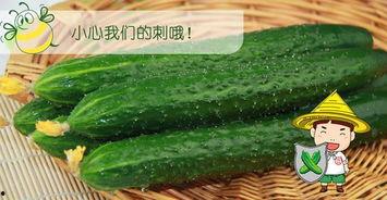 吃瓜十八第六集免费观看,揭秘幕后真相，免费观看大揭秘！  第1张